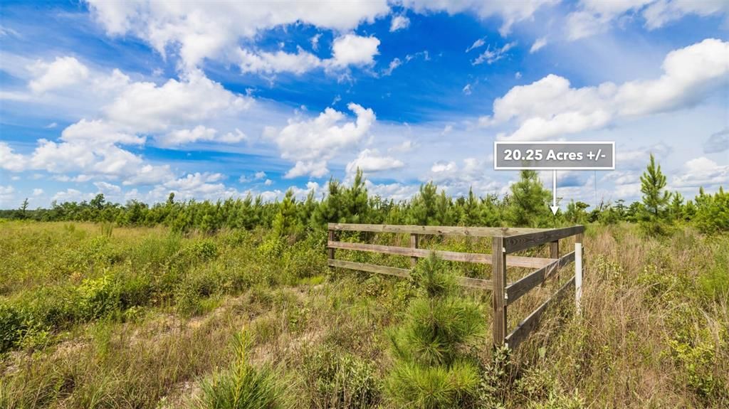 For Sale: $179,900 (20.25 acres)