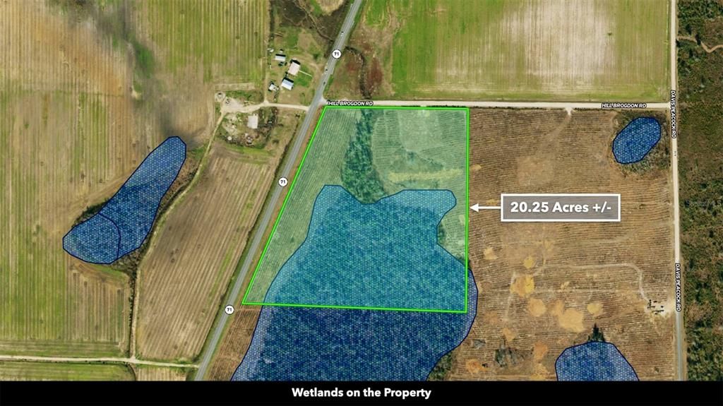 For Sale: $179,900 (20.25 acres)