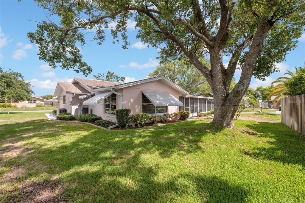 Nice landscaping and shade tree in back yard.