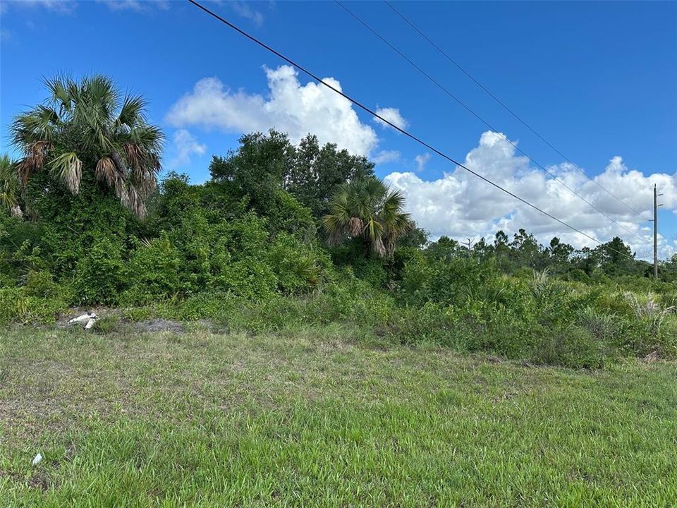 For Sale: $24,500 (0.37 acres)