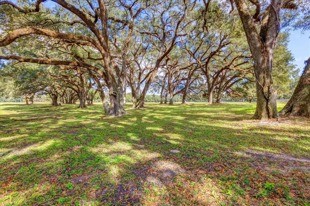 For Sale: $1,400,000 (21.24 acres)