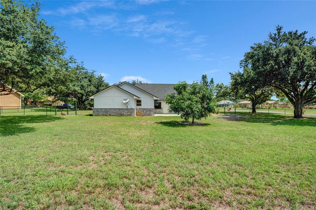 Huge yard with large mature oak trees perfect for a swing or a treehouse.