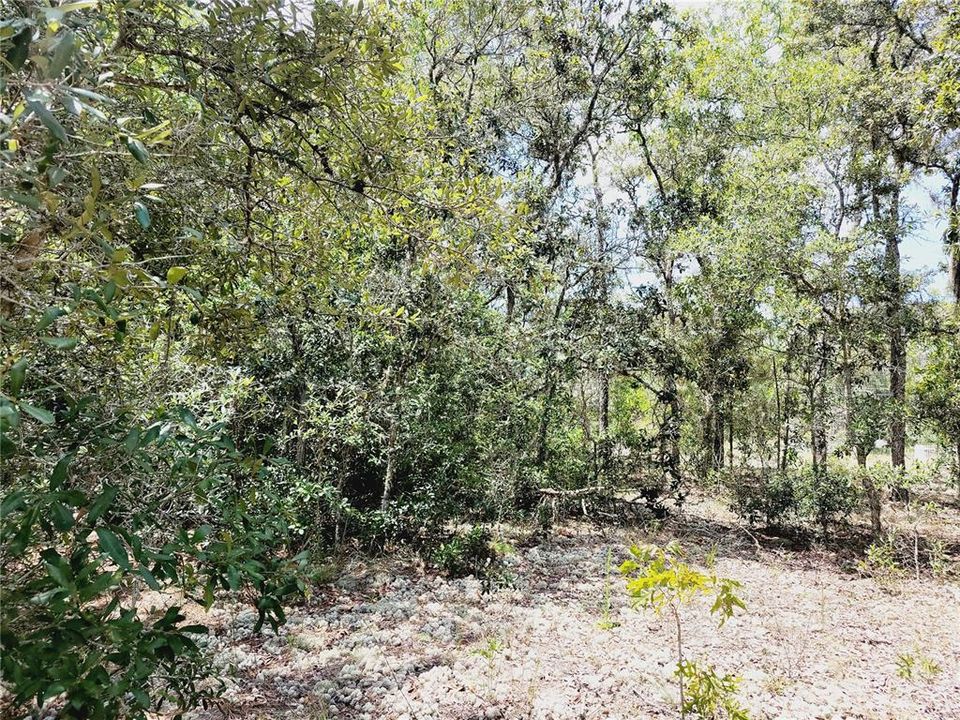 En Venta: $45,000 (0.93 acres)