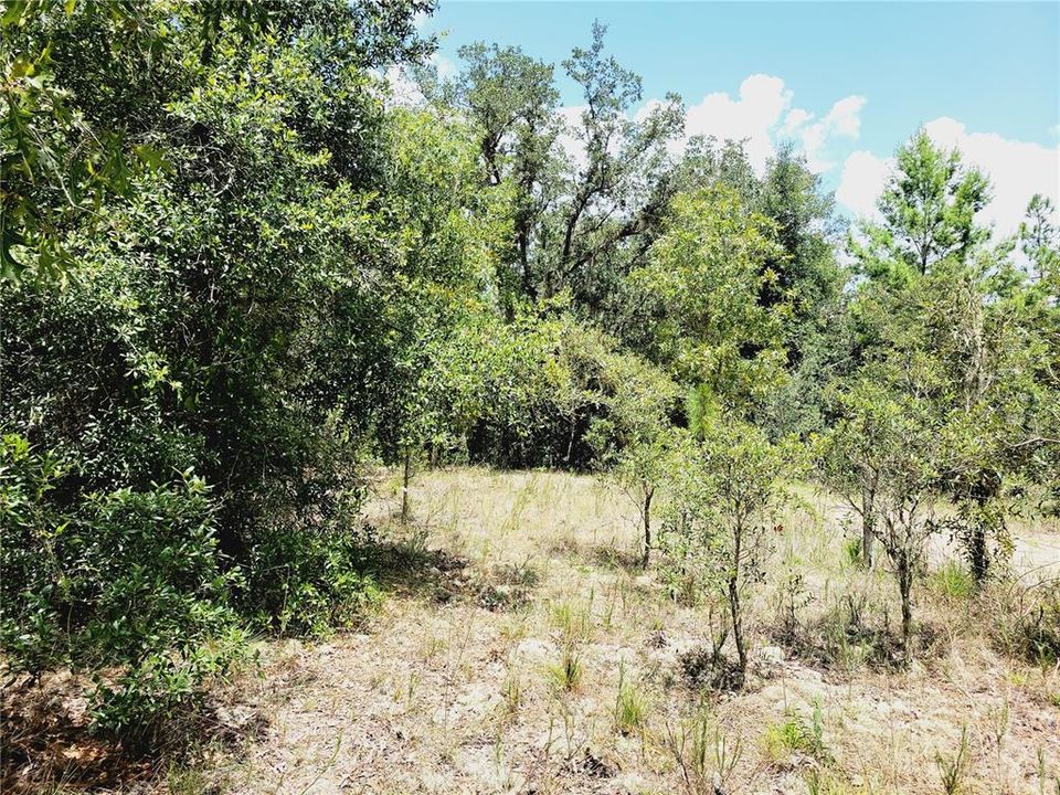 En Venta: $45,000 (0.93 acres)