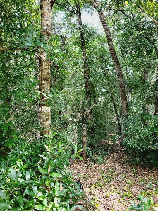 En Venta: $45,000 (0.93 acres)