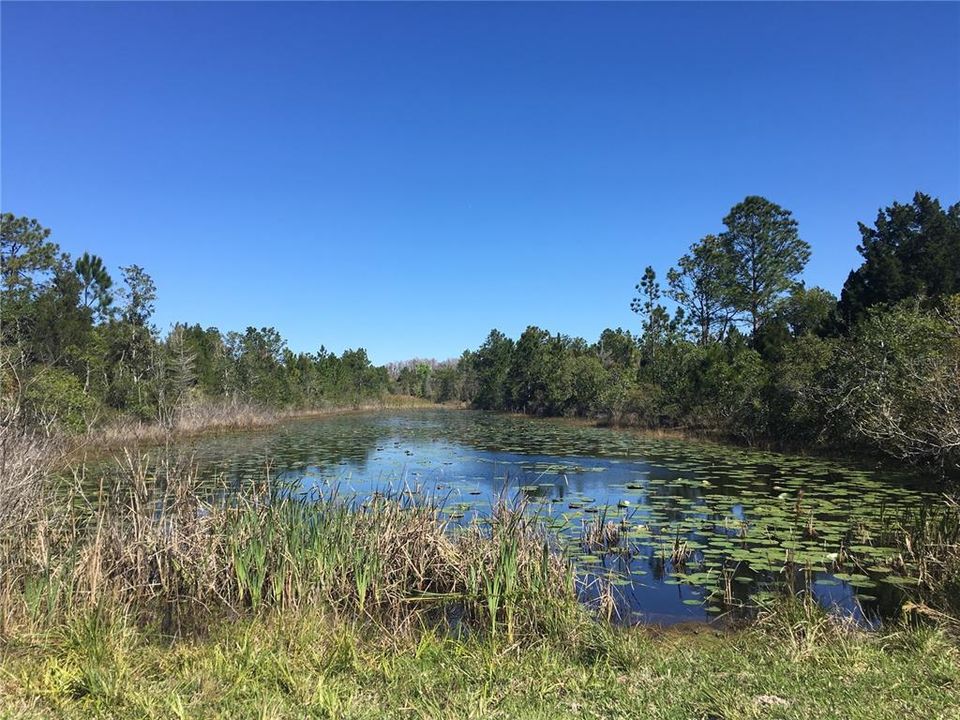 На продажу: $31,000 (0.46 acres)