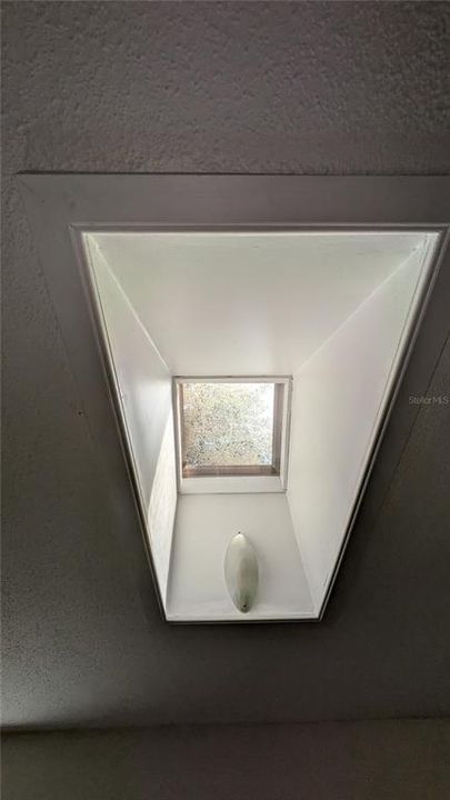 living room skylight