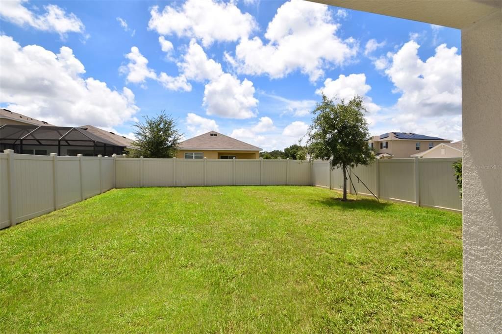 Expansive back yard