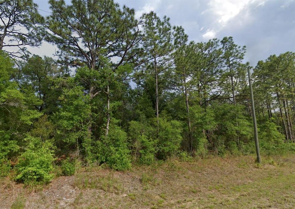 For Sale: $19,000 (0.23 acres)