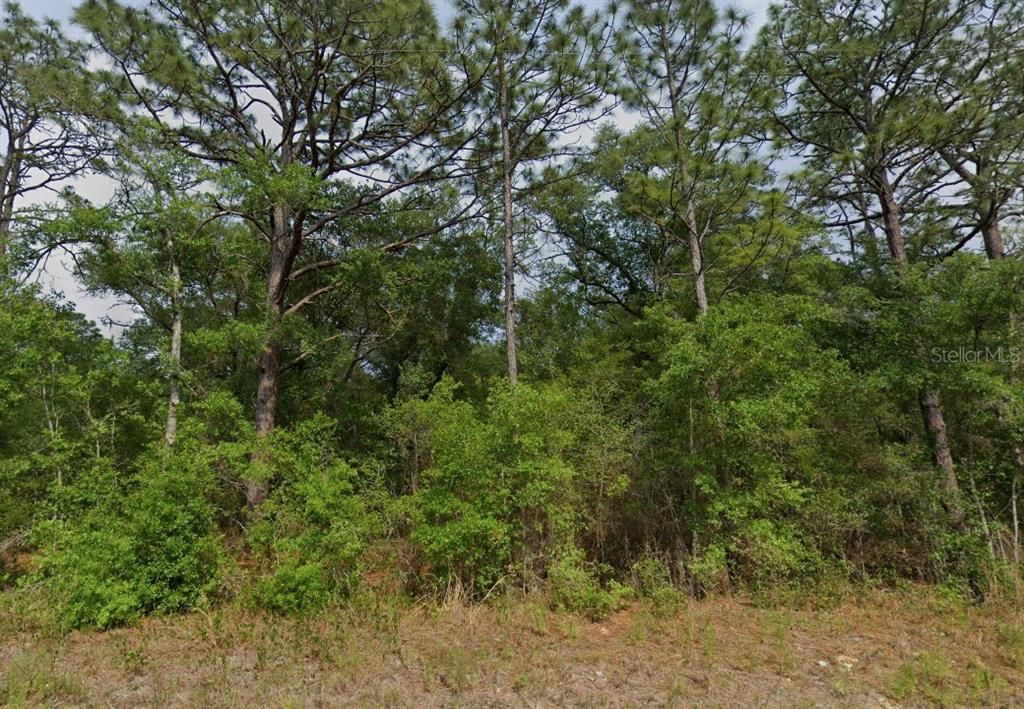 For Sale: $19,000 (0.23 acres)