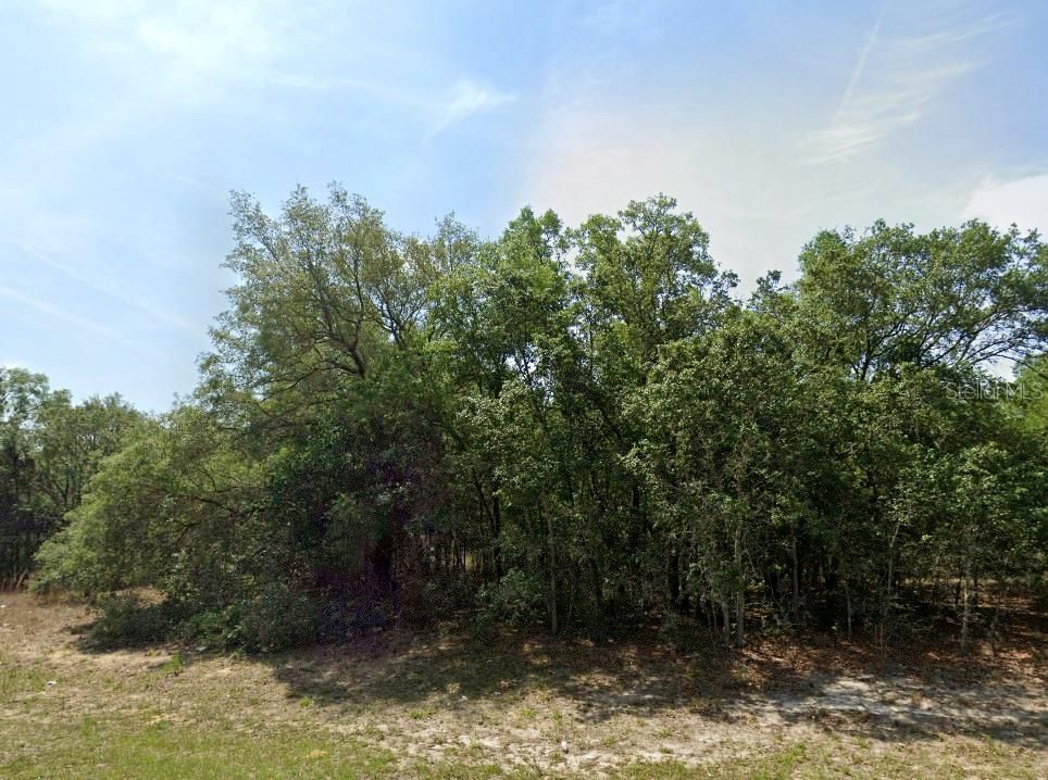 For Sale: $19,500 (0.26 acres)