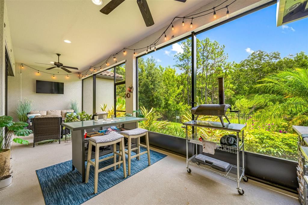 Covered and screened in Lanai with Gas outdoor kitchen