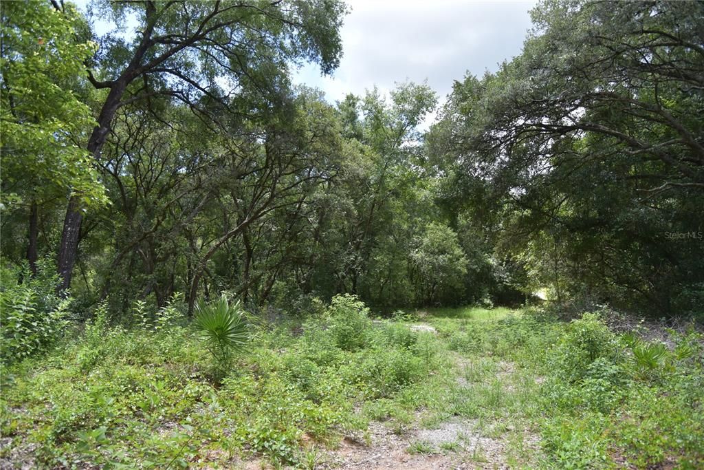 For Sale: $249,900 (9.30 acres)