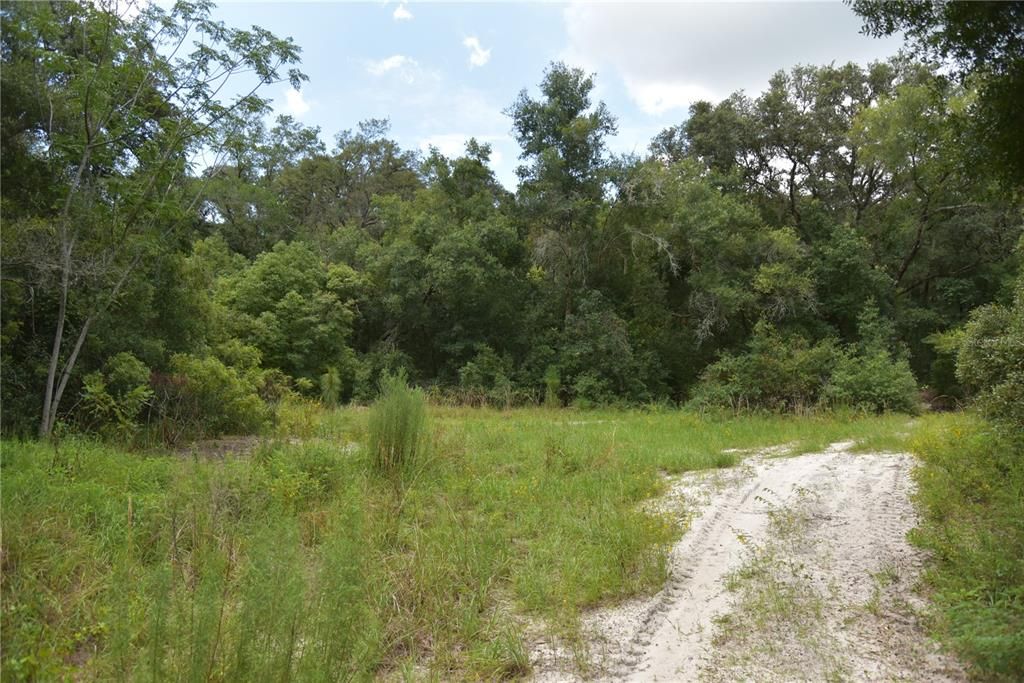 For Sale: $249,900 (9.30 acres)