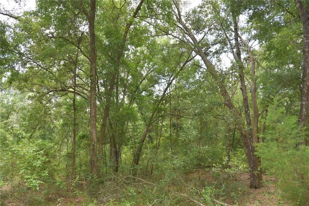 For Sale: $249,900 (9.30 acres)