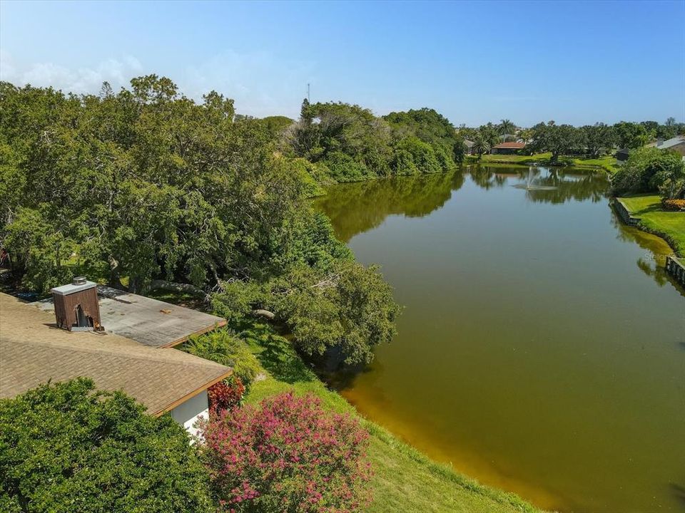 Lake behind home