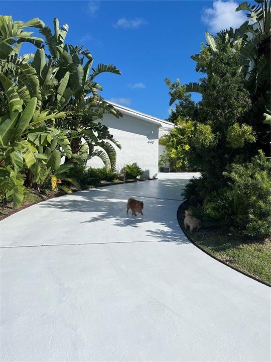 Circular driveway.