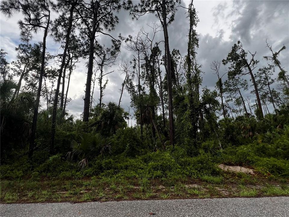 最近售出: $12,000 (0.23 acres)