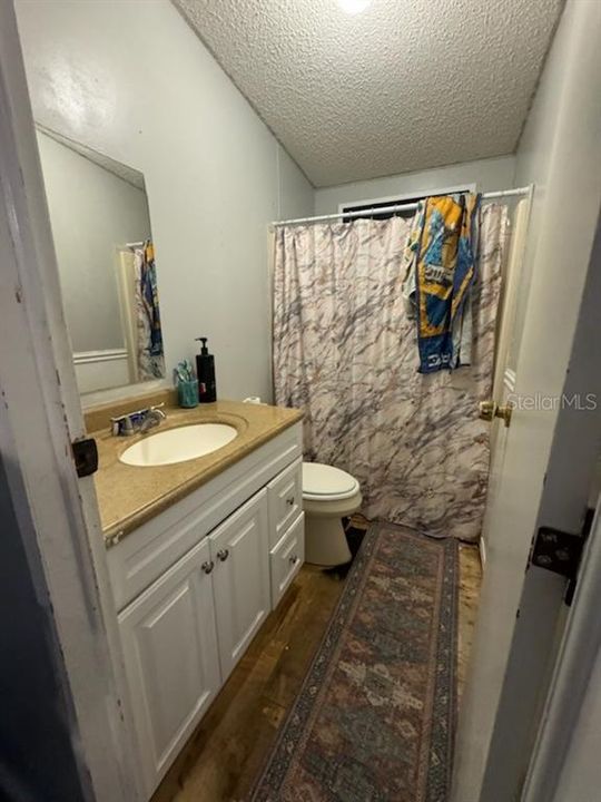 Guest bathroom