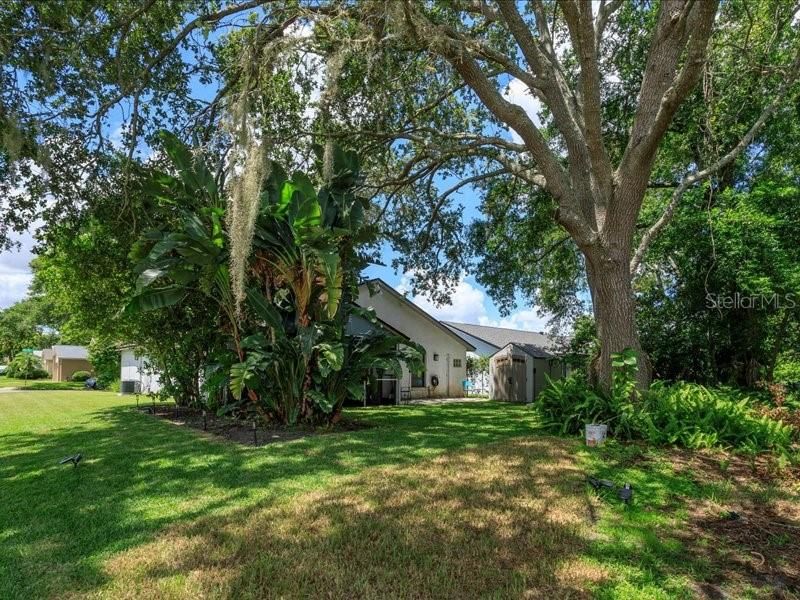 Lovely backyard with mature landscaping!