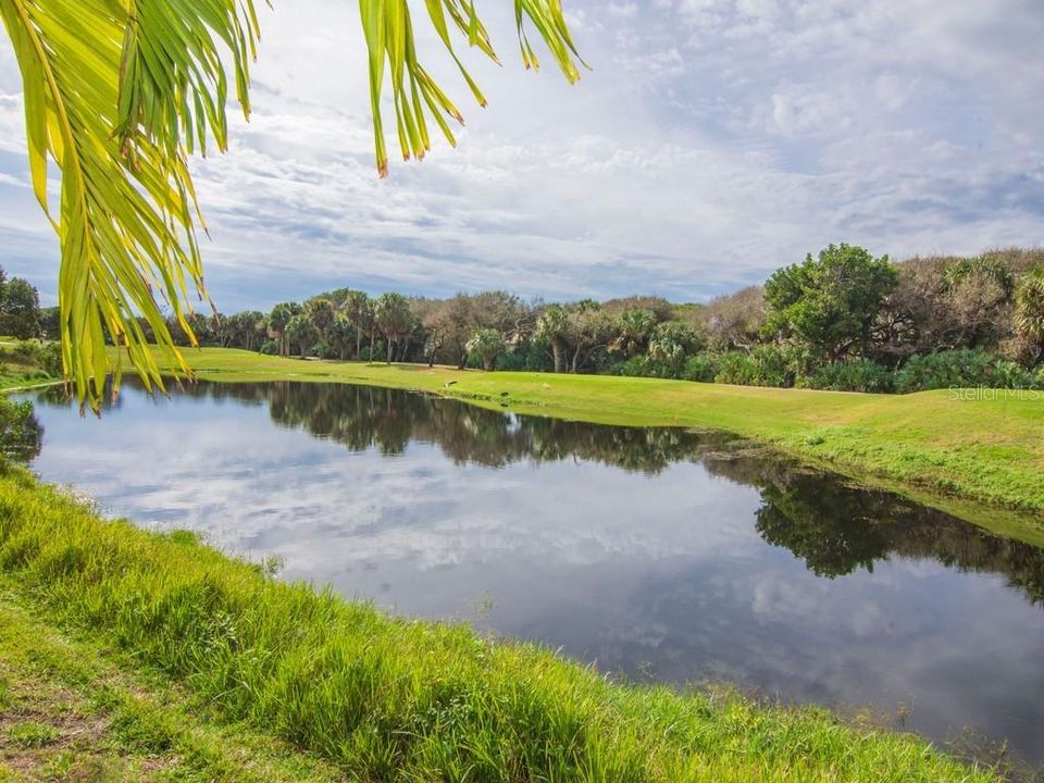 View of golf course