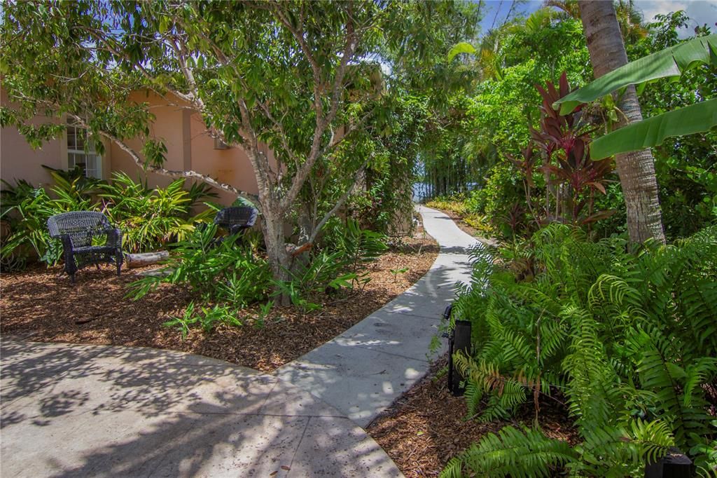 Paved, accessible walkways throughout the garden with privacy hedge. Fruit trees are seamlessly integrated into the Florida-friendly garden design.