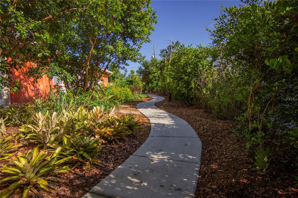 Paved, accessible walkways throughout the garden with privacy hedge. Fruit trees are seamlessly integrated into the Florida-friendly garden design.