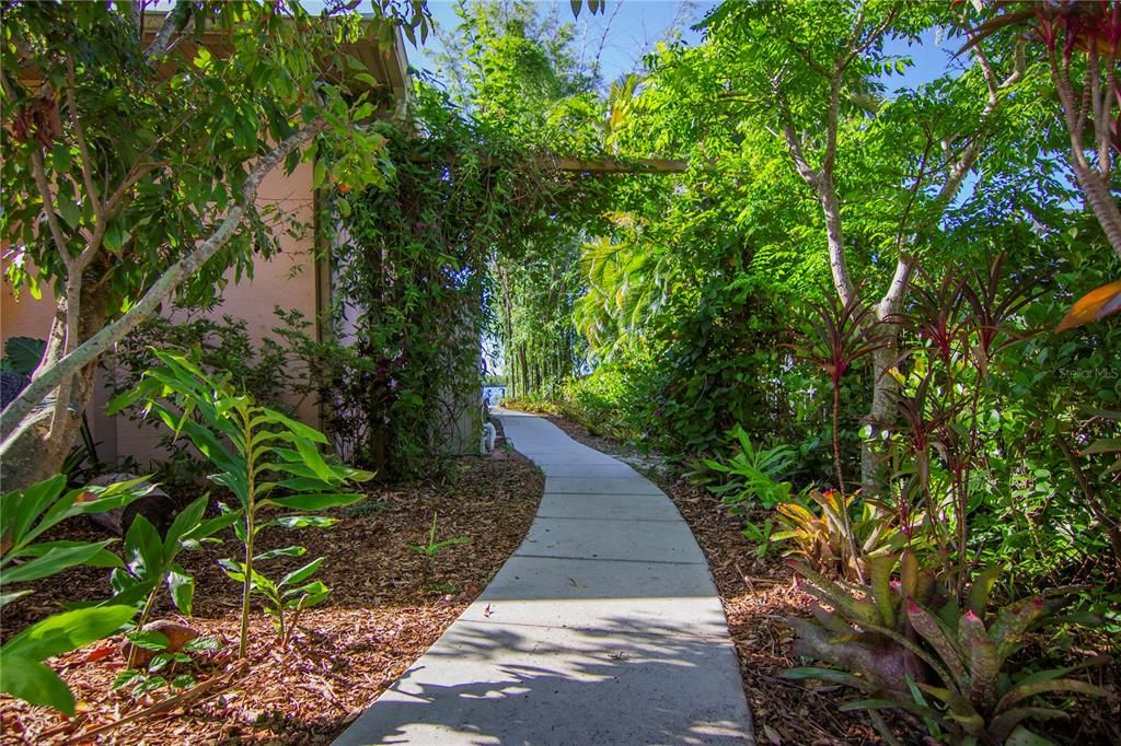 Paved, accessible walkways throughout the garden with privacy hedge. Fruit trees are seamlessly integrated into the Florida-friendly garden design.