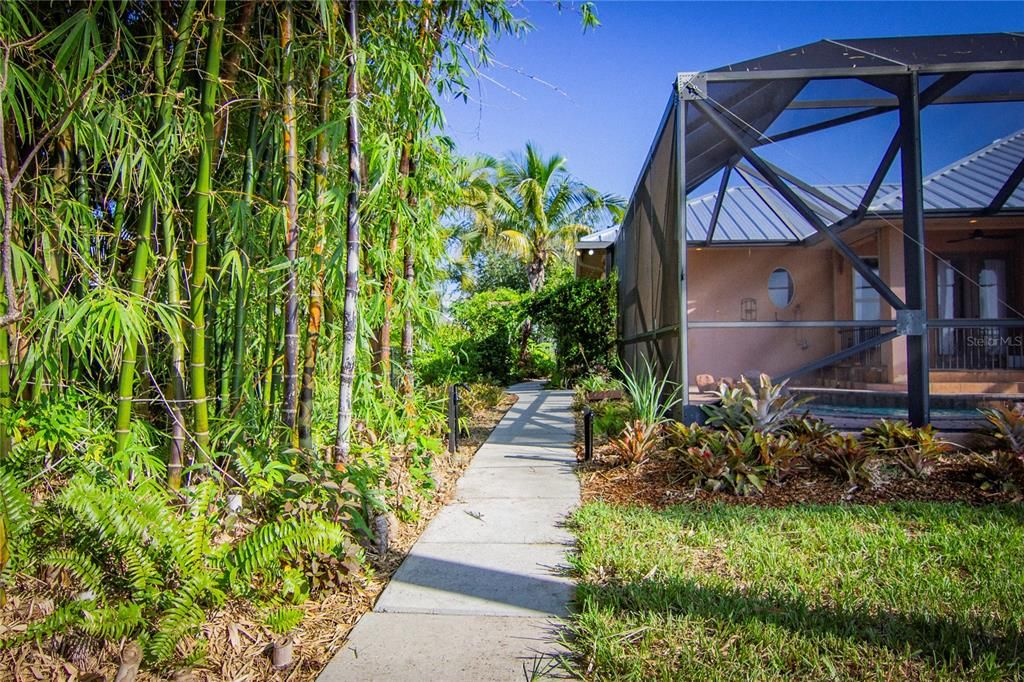 Paved, accessible walkways throughout the garden with privacy hedge. Fruit trees are seamlessly integrated into the Florida-friendly garden design.