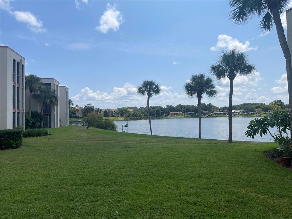 View of Lake Orienta