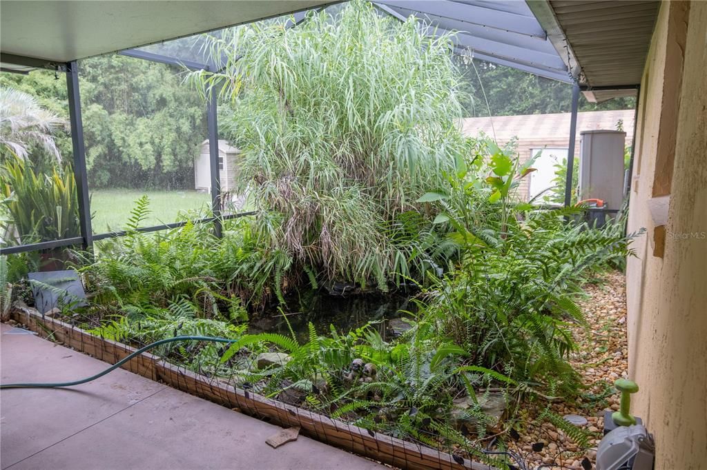 KOI POND/ BACK PORCH