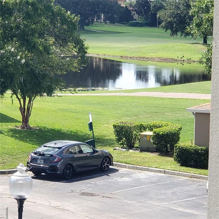 Golf Course Pond View