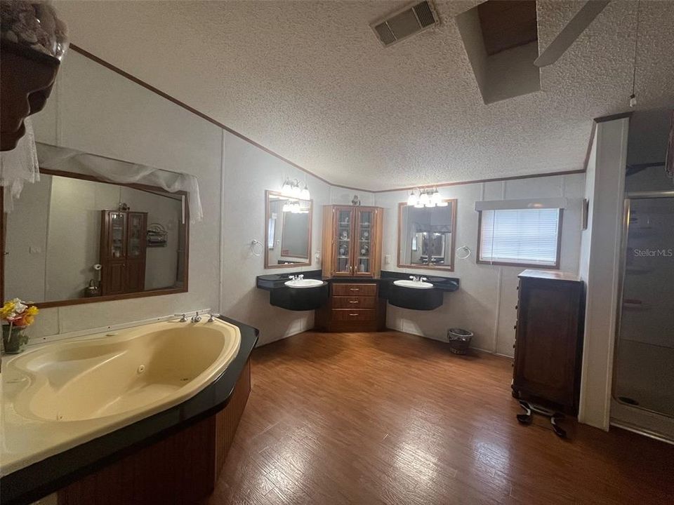 Master bathroom