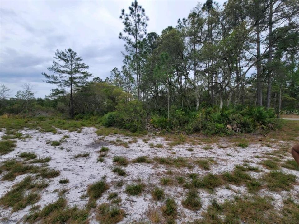 Recently Sold: $110,000 (3.40 acres)