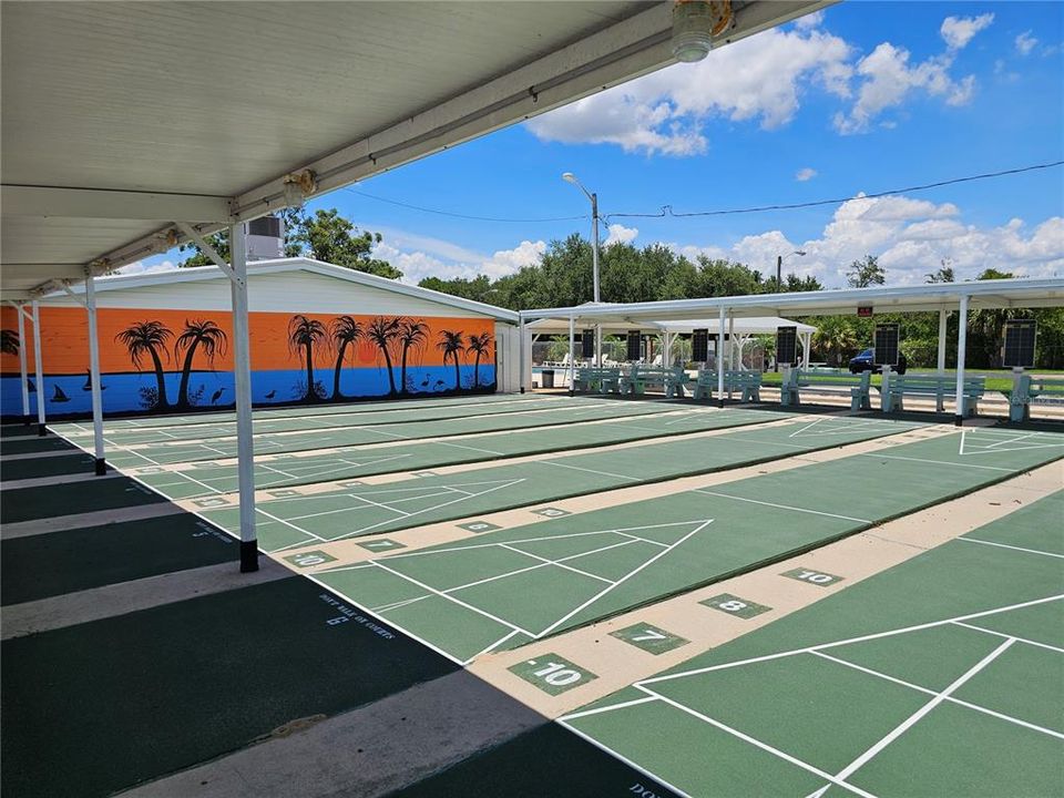 The community club's house has a pool, shuffleboard, a library, and much more.