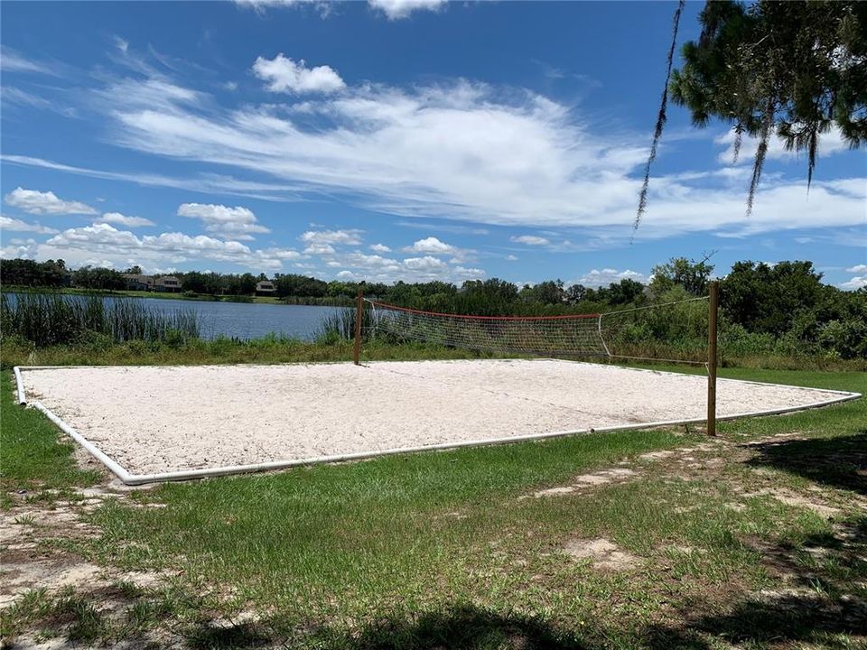 Volleyball court