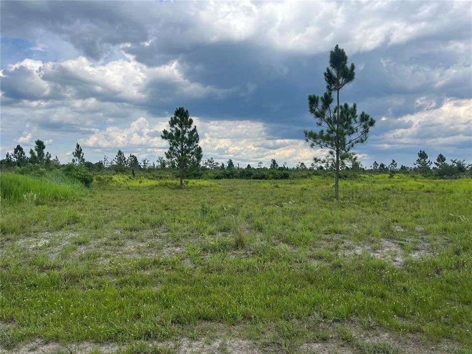 En Venta: $18,000 (0.52 acres)