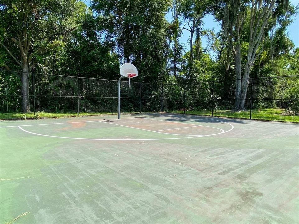 Basketball Court