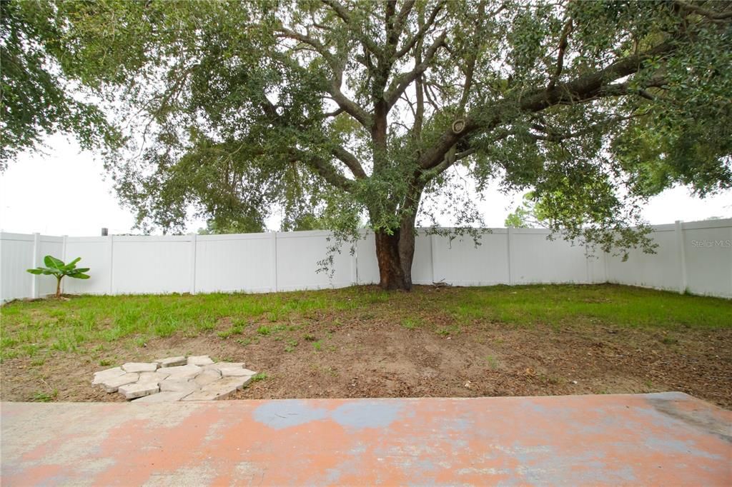 Complete Fenced Backyard