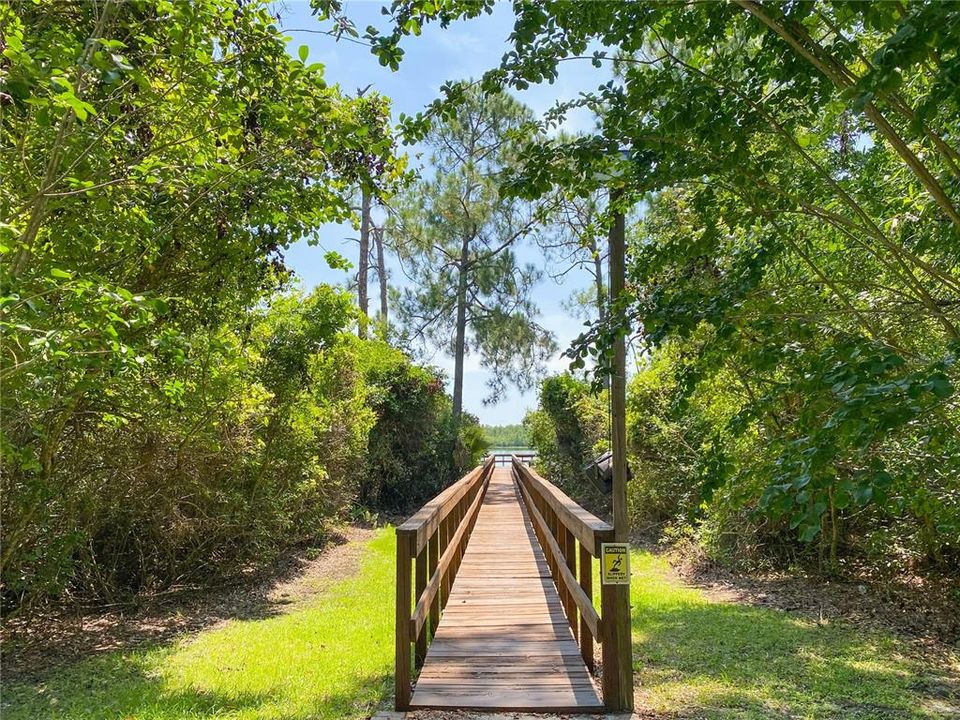 Bridge to Lake