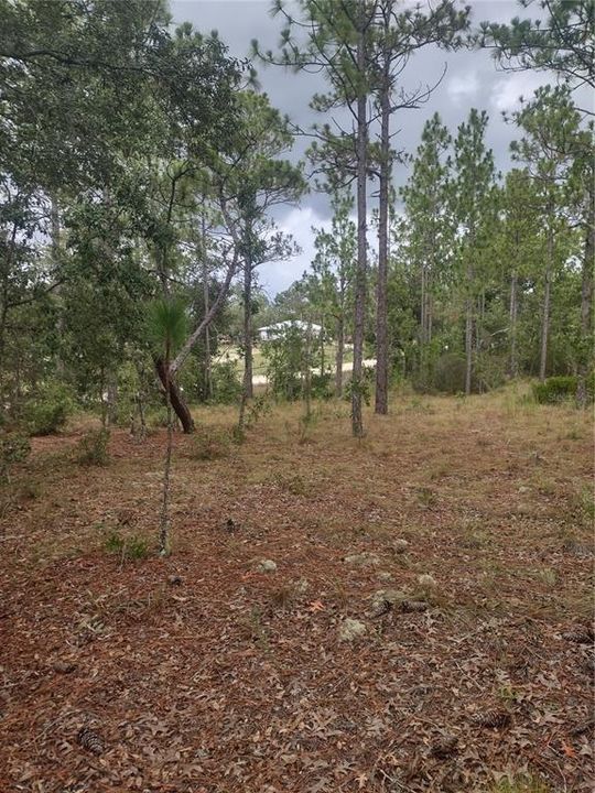 En Venta: $16,000 (0.23 acres)