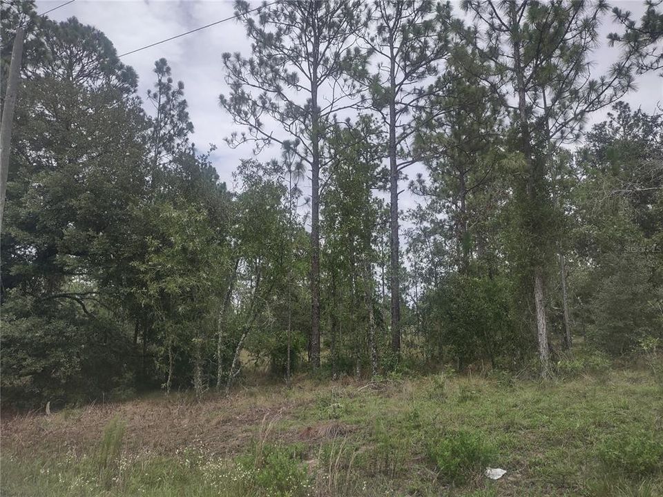 En Venta: $16,000 (0.23 acres)