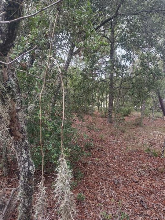 En Venta: $16,000 (0.23 acres)