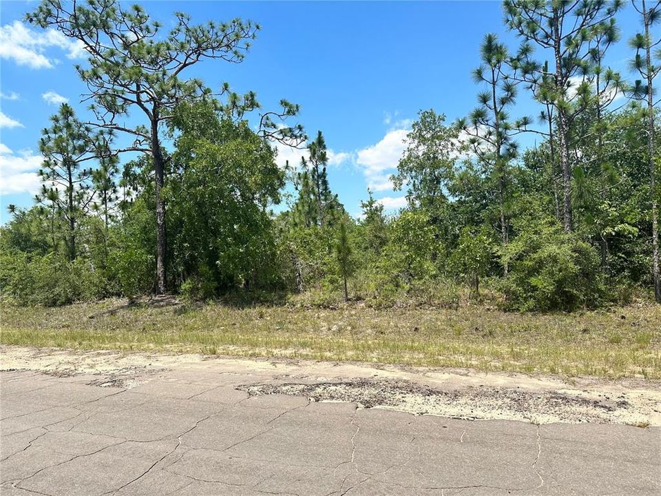 En Venta: $13,450 (0.24 acres)