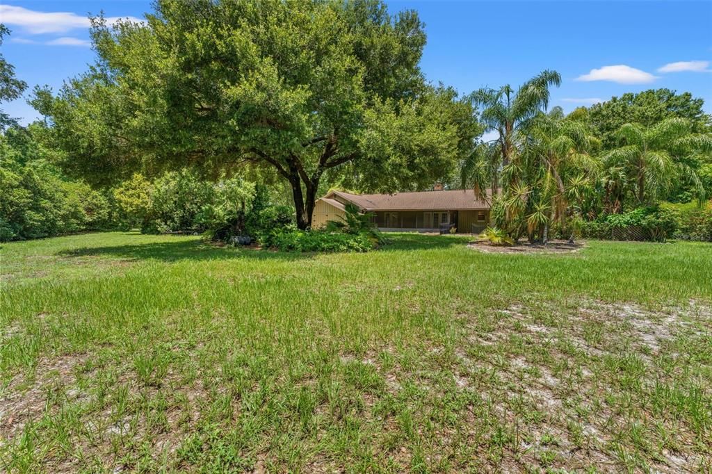 Back Yard/View of House