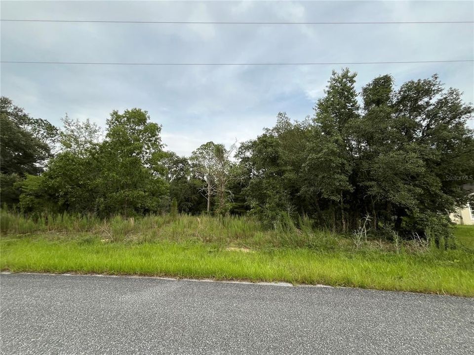 Vendido Recientemente: $19,900 (0.31 acres)