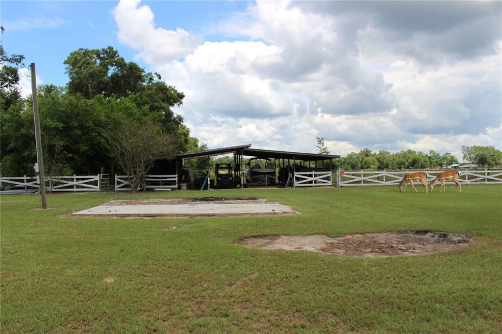 Back Yard Ground View