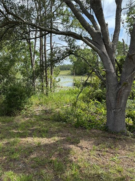 En Venta: $389,999 (4 camas, 2 baños, 1600 Pies cuadrados)