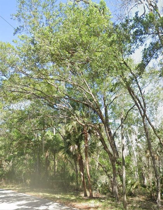 En Venta: $17,900 (0.33 acres)