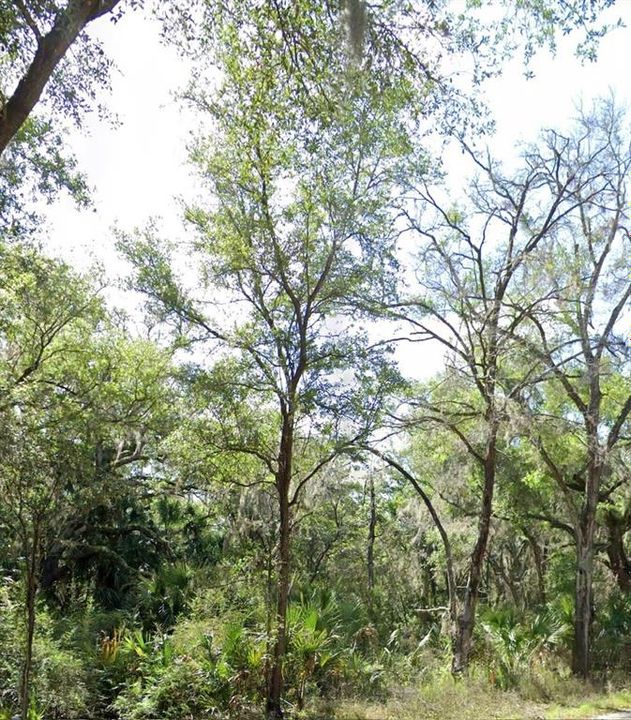 En Venta: $29,900 (1.36 acres)